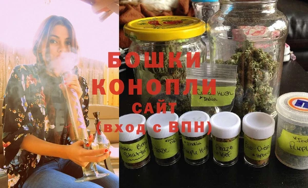 молекула духа Надым