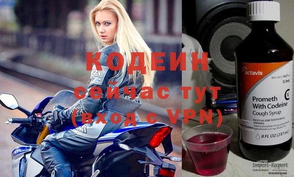 молекула духа Надым
