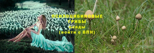 молекула духа Надым